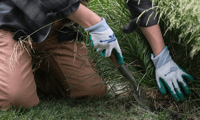 Reduce Water Usage at Home